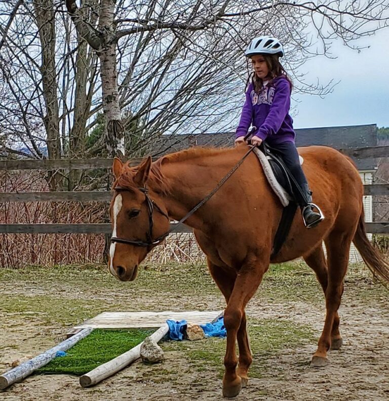 Missy used for special needs children